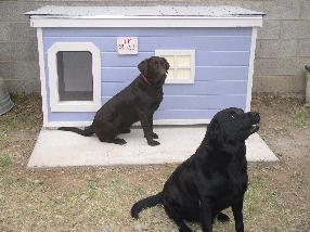 dog house plans