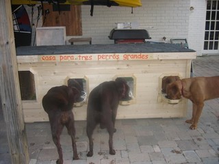 stunning big dog house plans images - best image 3d home interior stunning big dog house plans images - best image 3d home interior