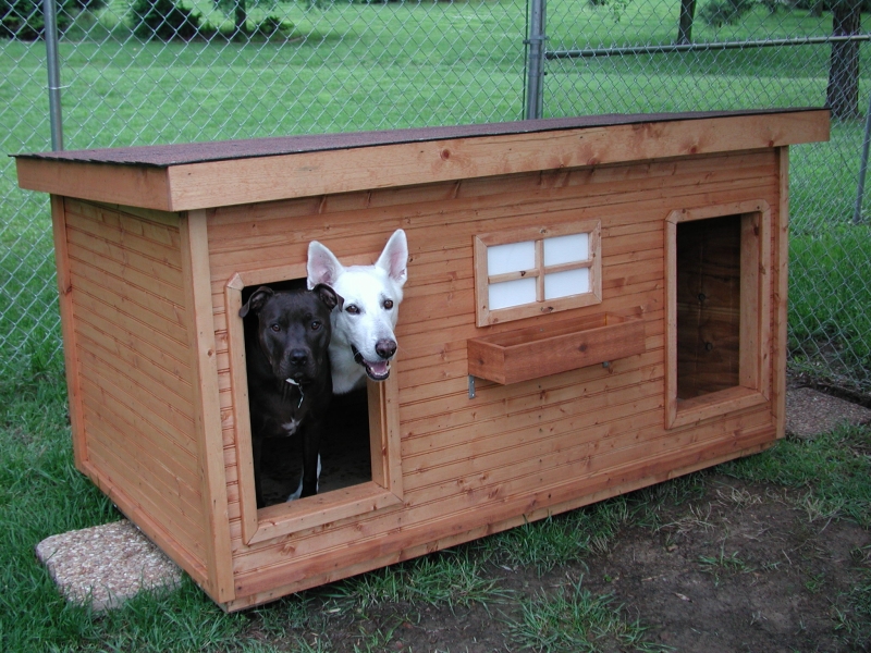 Free Dog House Plans Boys doghouse shed plans