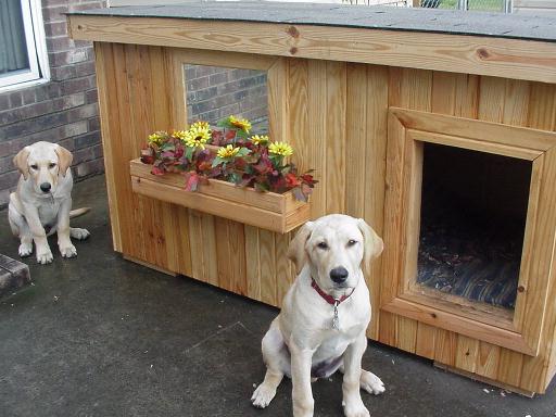 Dog+house+plans+free