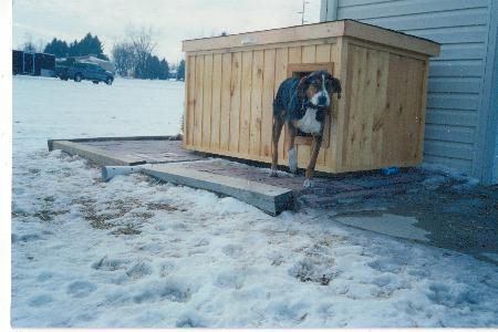 Dog+house+plans+free+flat+roof